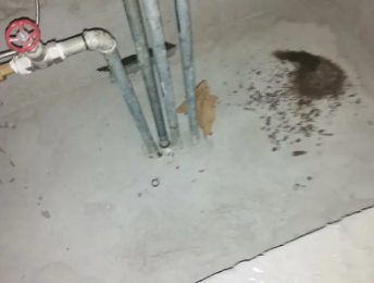 罗源卫生间测漏水价格明细