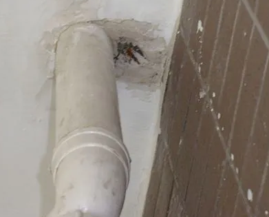 罗源漏水检测哪家好